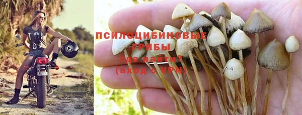 амфетамин Алексеевка