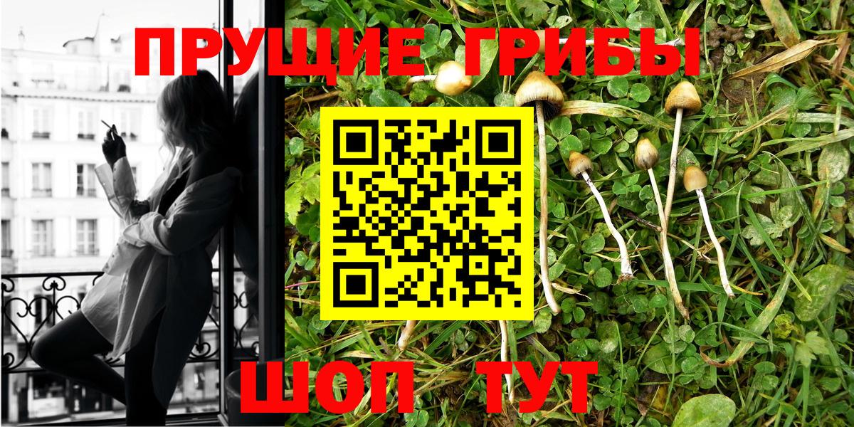 Псилоцибиновые грибы Psilocybe  Вход с VPN  Клин  Галлюциногенные грибы прущие грибы 