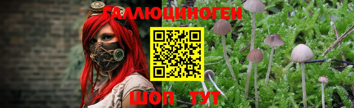 Галлюциногенные грибы Magic Shrooms Клин